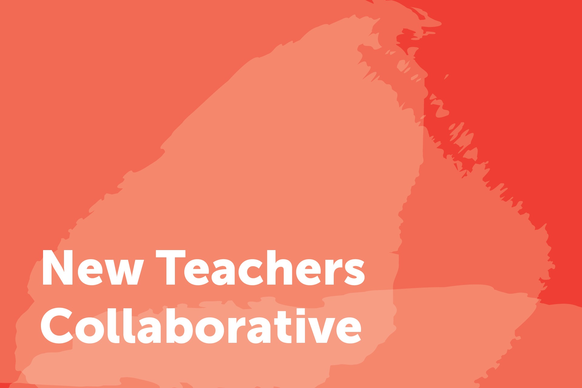 new teachers Collaborative City Year